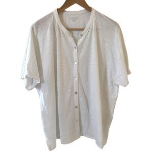 Eileen Fisher Womens Organic Linen Shirt Sustainable XL Oversized Lagenlook Work